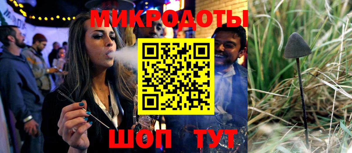 Галлюциногенные грибы MAGIC MUSHROOMS  Вход с VPN  Димитровград 