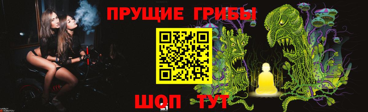Галлюциногенные грибы GOLDEN TEACHER Димитровград